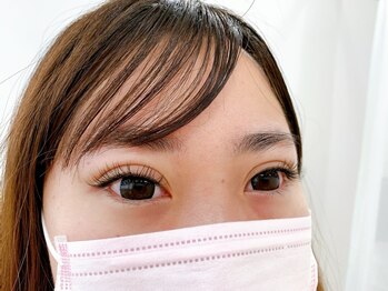 ルピナス(Lupinus)/フラットラッシュ140本