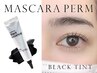 【初回】艶感Blackティントまつ毛パーマ★韓国風マスカラパーマ★ ￥6480