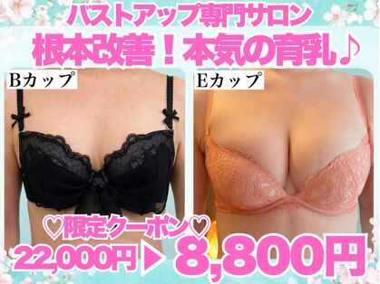 美人バスト 浦和店の写真