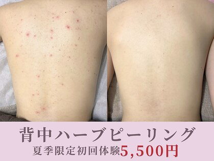 ホリホックの写真