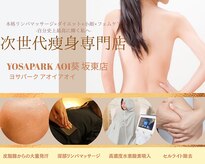 ヨサパーク 葵 坂東店(YOSA PARK Aoi)