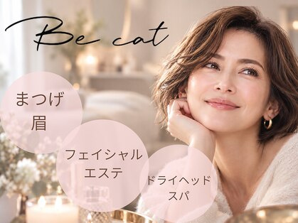 ビキャット(Be cat)の写真
