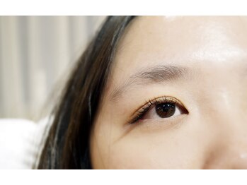 ノリージュ(Nori-jue)/デザイン[335]