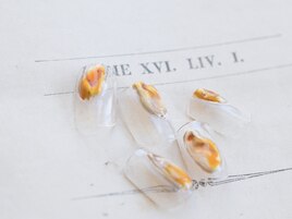 11月select(J)5,980円/全10種