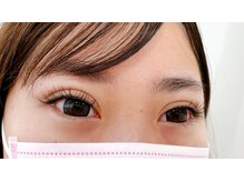 ルピナス(Lupinus)/フラットラッシュ140本