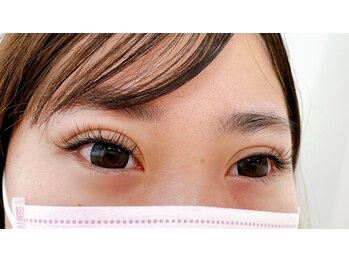 ルピナス(Lupinus)/フラットラッシュ140本