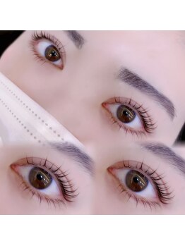 ステラ(S.tella)/
