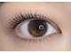 ラヴィアスプラス(LAVIAS+)の写真/まつげのダメージを最小限にする商材を使用してます。毎朝のメイクも快適に！