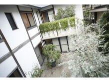 アユアラングレース/昼間の中庭