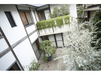 アユアラングレース/昼間の中庭