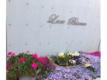 イグ(IGUH)/ルーチェビアンコ103号室