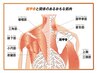 肩コリ解消特化コース　施術時間60分