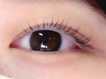 アイラッシュマルヴァ(Eye Lash Malva)/まつげパーマ