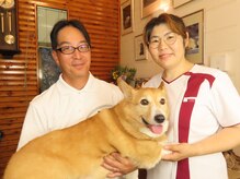 キク カラダ調整院/看板犬