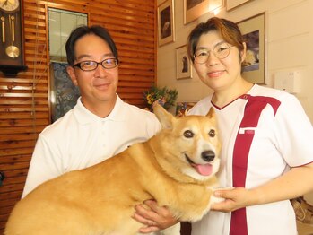 キク カラダ調整院/看板犬