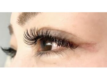 ブロッサ(Blossa)/フラットラッシュ