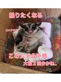 ムー(Mou)&nbsp;孫のコハク女子
