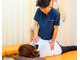 体つちや整骨院 整体院の写真/女性必見！大人気☆産後骨盤矯正＆猫背矯正！初めての方やお子様連れのママさんも大歓迎♪