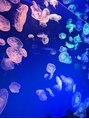 リラクプラス 焼津西小川店(RELAXPLUS+) 水族館に行くと、すぐクラゲを探すくらい可愛くて好き♪