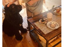 ヒュッテ(Hutte)/ヒュッテの愉快な仲間たち