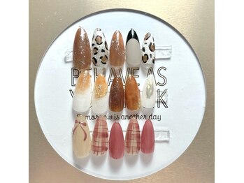 ピト(Pito)/10月ボリューム定額