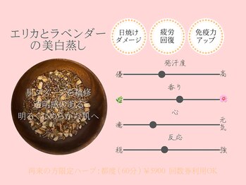 サロン ド ミレイ(salon de mirei)/【美白&疲労回復】