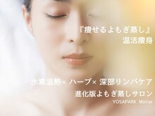 ヨサパークミラー 新高円寺(YOSAPARK Mirror)