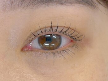 ウィキラ(WIKIRA)/