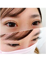 ルピナス(Lupinus)/フラットラッシュ140本