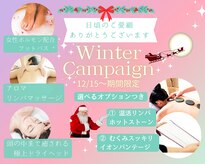 ジャスミンパラデイシ(アJasminum paradisi)