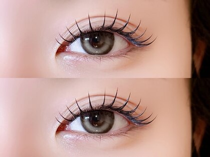 アイリー 博多(ily)の写真