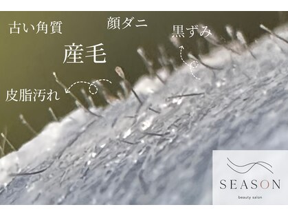 シーズン 岡崎の写真