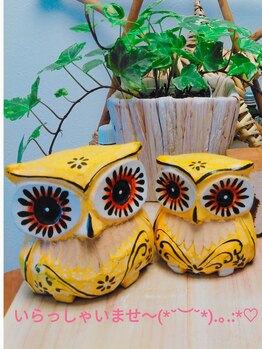 アボット キニー(Abbot Kinney)/☆ 店内 ☆