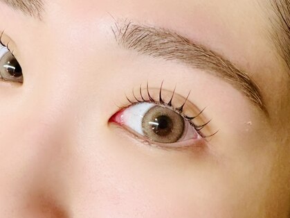 リノ(Lino)の写真