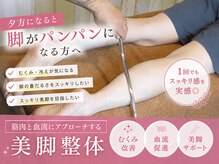 ふみらぼ 亀有