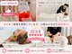 アキュエ(ACUE)の写真
