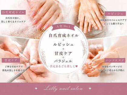 リリー(Lilly)の写真