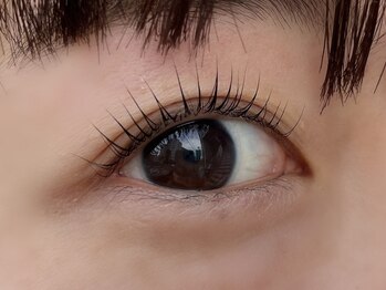 ザ コースト バイ ネオリーブ(The coast by neolive)/パリジェンヌラッシュリフト