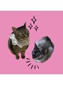 メメ サッポロ(me_me sapporo)&nbsp;誕生日は1/29☆そしてこちらは我が家の猫ちゃんズです♪