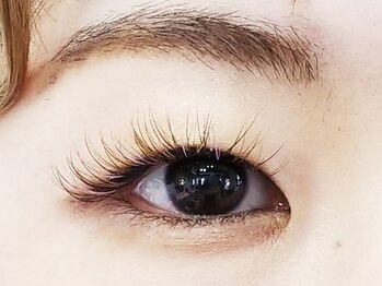 ライブクオリア/