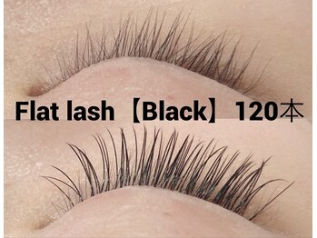 ハーゼ(Hase)/Flat Lash【Black】120本