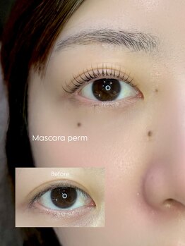 ルナ(Luna)の写真/《福島6分/選べるまつげパーマ¥5,500》立ち上げ/カール/メーテルからお選びいただけます◎