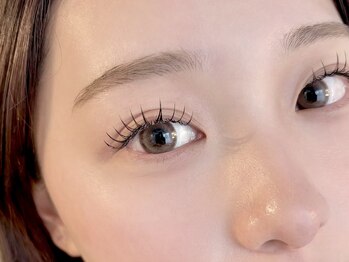 ミシェル(Michel)/フラットラッシュ120本 design