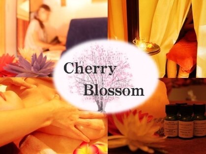 チェリーブロッサム(Cherry Blossom)の写真