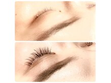 キャンプス(Camps)