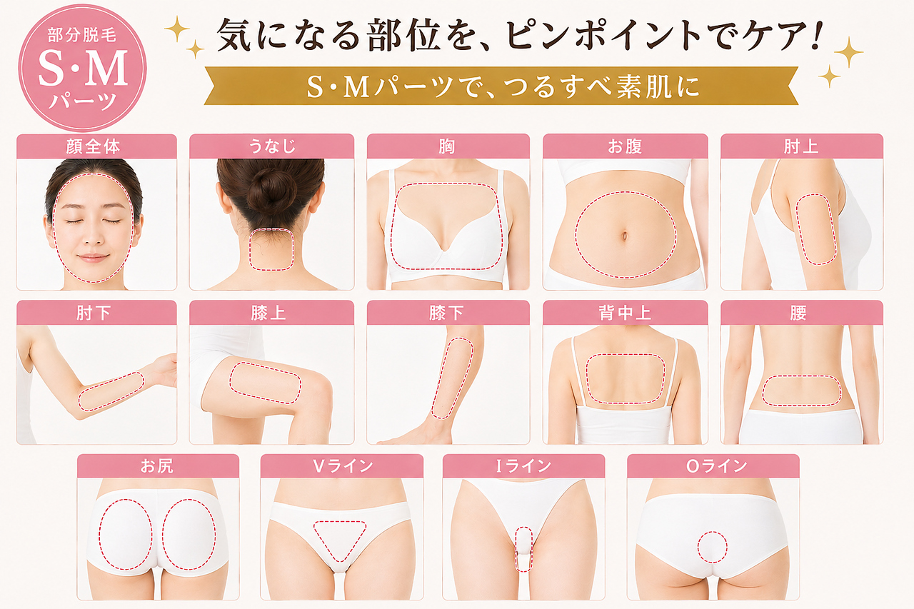 S・Mパーツ【女性】顔脱毛/うなじ脱毛/背中上脱毛などの部分脱毛