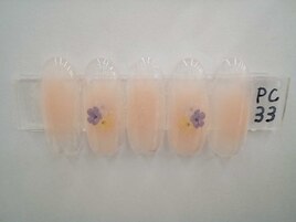 季節の定額5900円コ―ス