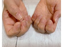 メイヴン(Maven)/