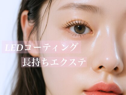 ショコラの写真