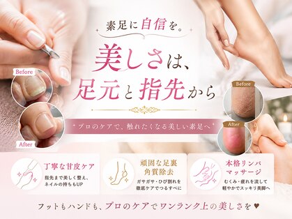 リリー(Lilly)の写真